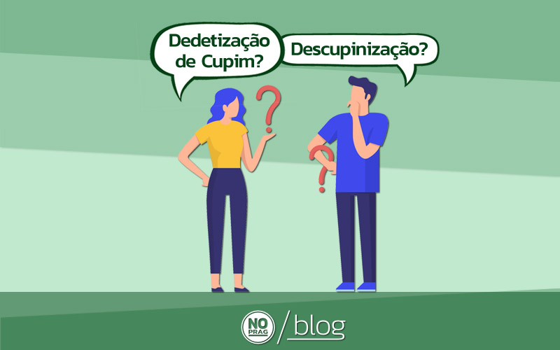 pessoas com dúvida entre dedetização de cupim e descupinização