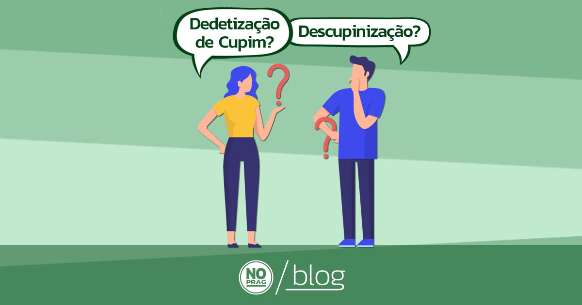 pessoas com dúvida entre dedetização de cupim e descupinização