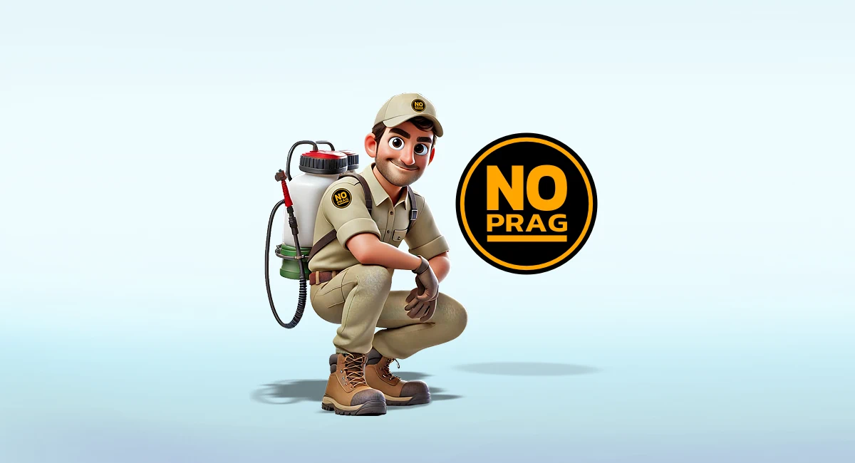 No Prag